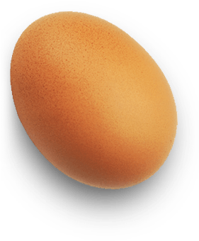 Single Brown Eggon Dark Background PNG Image