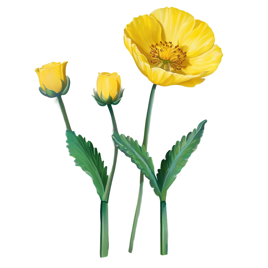 Single Buttercup Png Hsv PNG Image