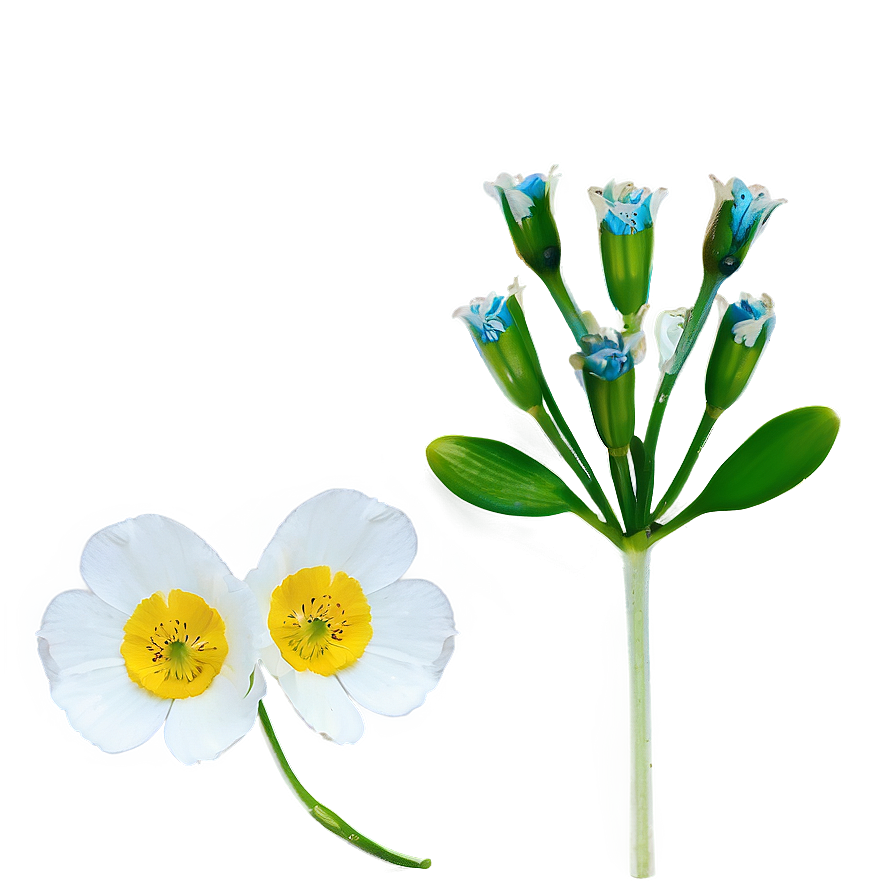 Single Buttercup Png Pab62 PNG Image