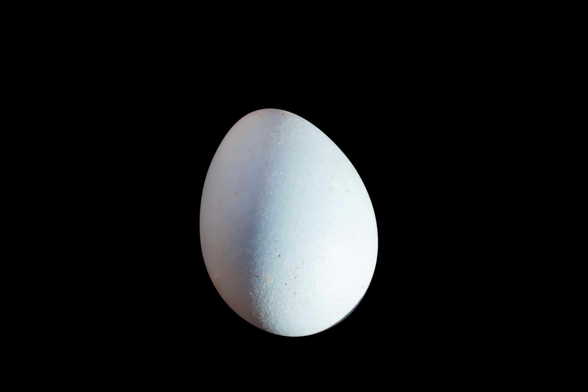 Single Egg Black Background.jpg PNG Image