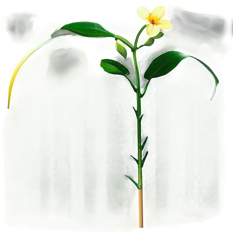 Single Flower Stem Png Eyd70 PNG Image