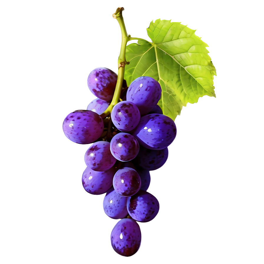 Single Fresh Grape Png Yme14 PNG Image