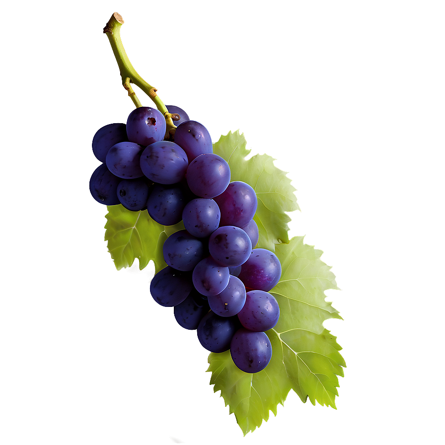 Single Grape Png Qnh PNG Image