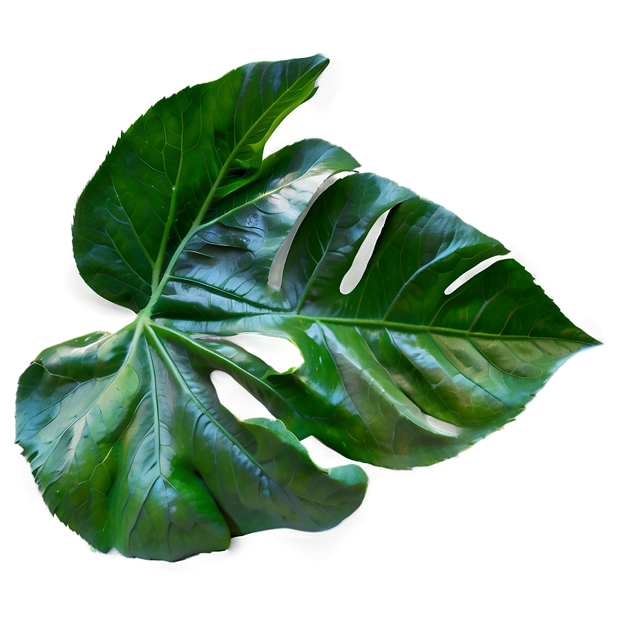 Single Leaf Png Vge PNG Image