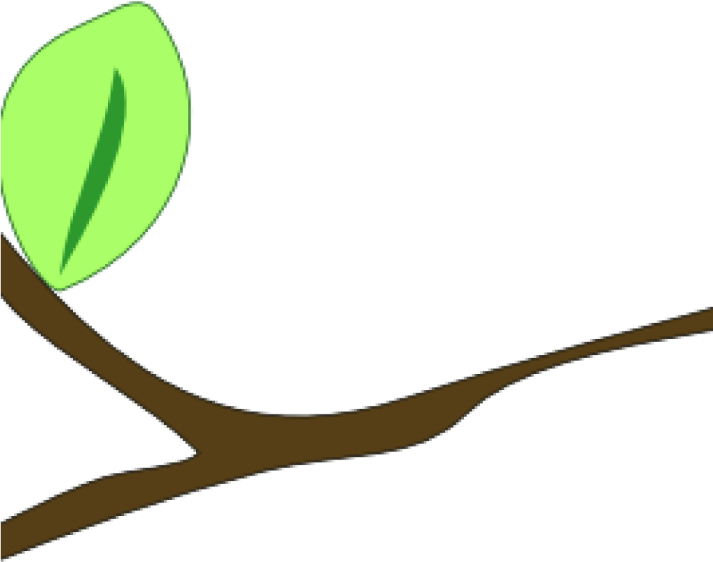 Single Leafon Branch Illustration PNG Image