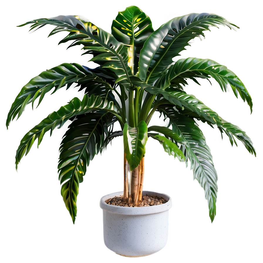 Single Tall Plant Png Mtk85 PNG Image