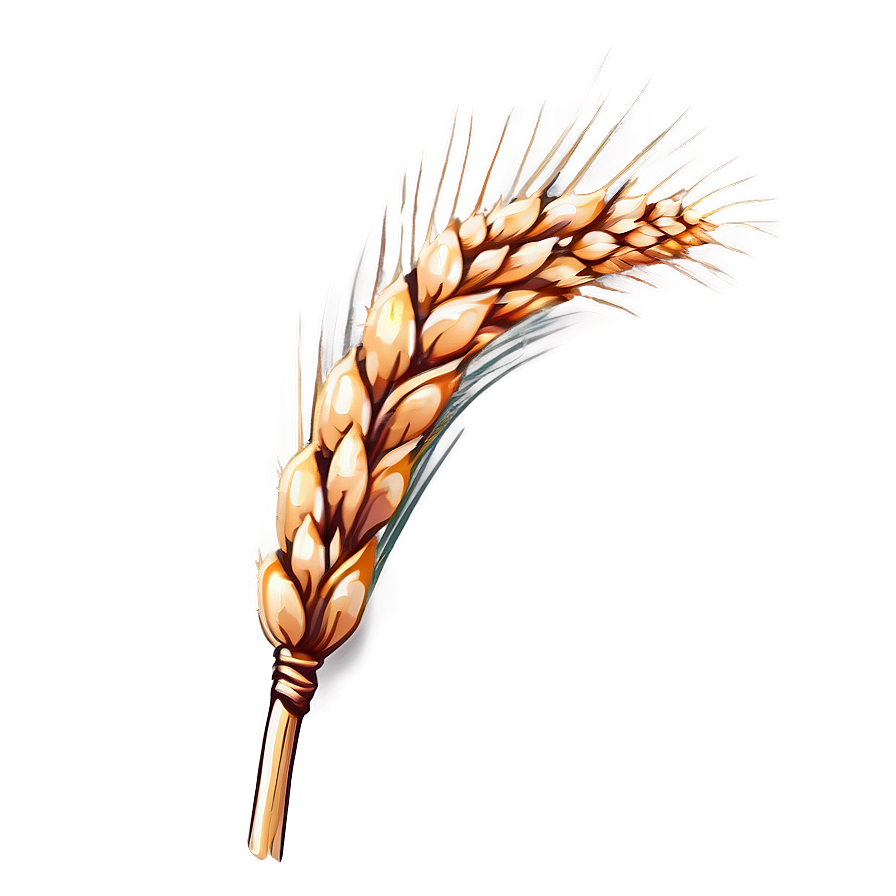 Single Wheat Ear Png Vfe63 PNG Image