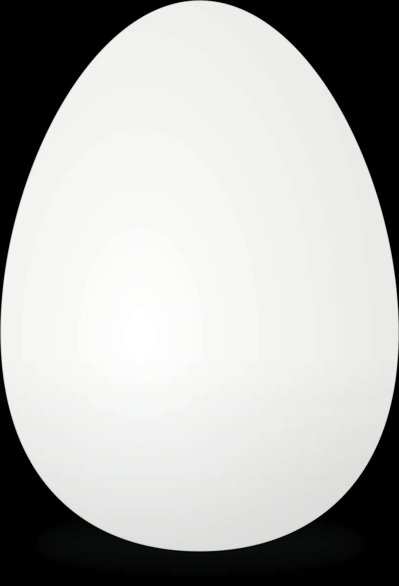 Single White Eggon Black Background.jpg PNG Image