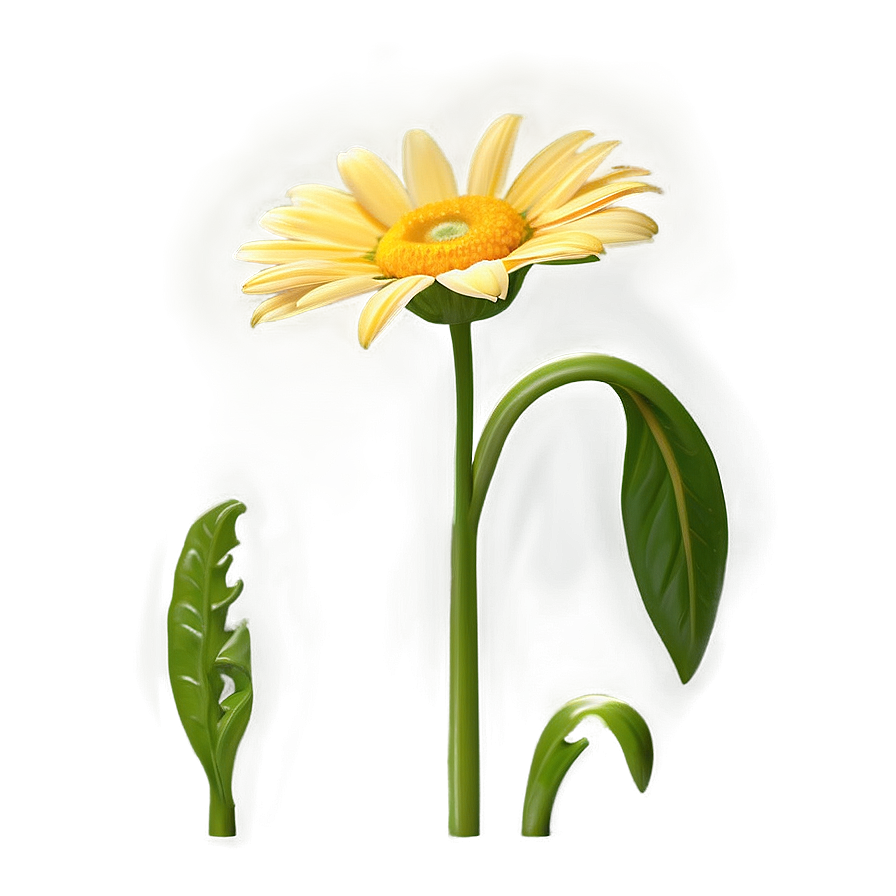 Single Yellow Daisy Bloom Png Ftg PNG Image