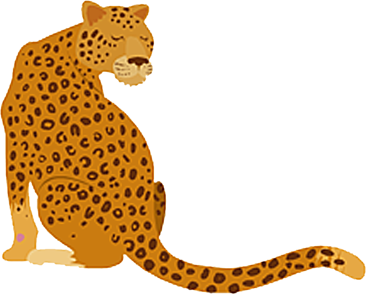 Sitting Leopard Illustration PNG Image