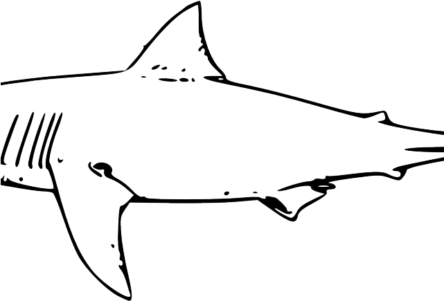 Sleek Shark Silhouette PNG Image