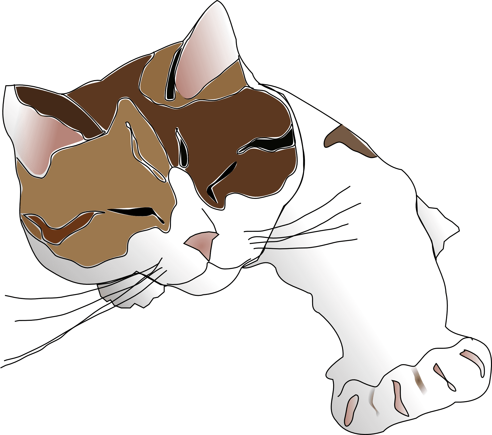 Sleeping Calico Cat Illustration PNG Image