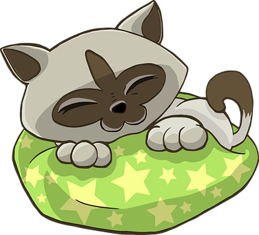 Sleeping Cartoon Caton Star Pillow PNG Image