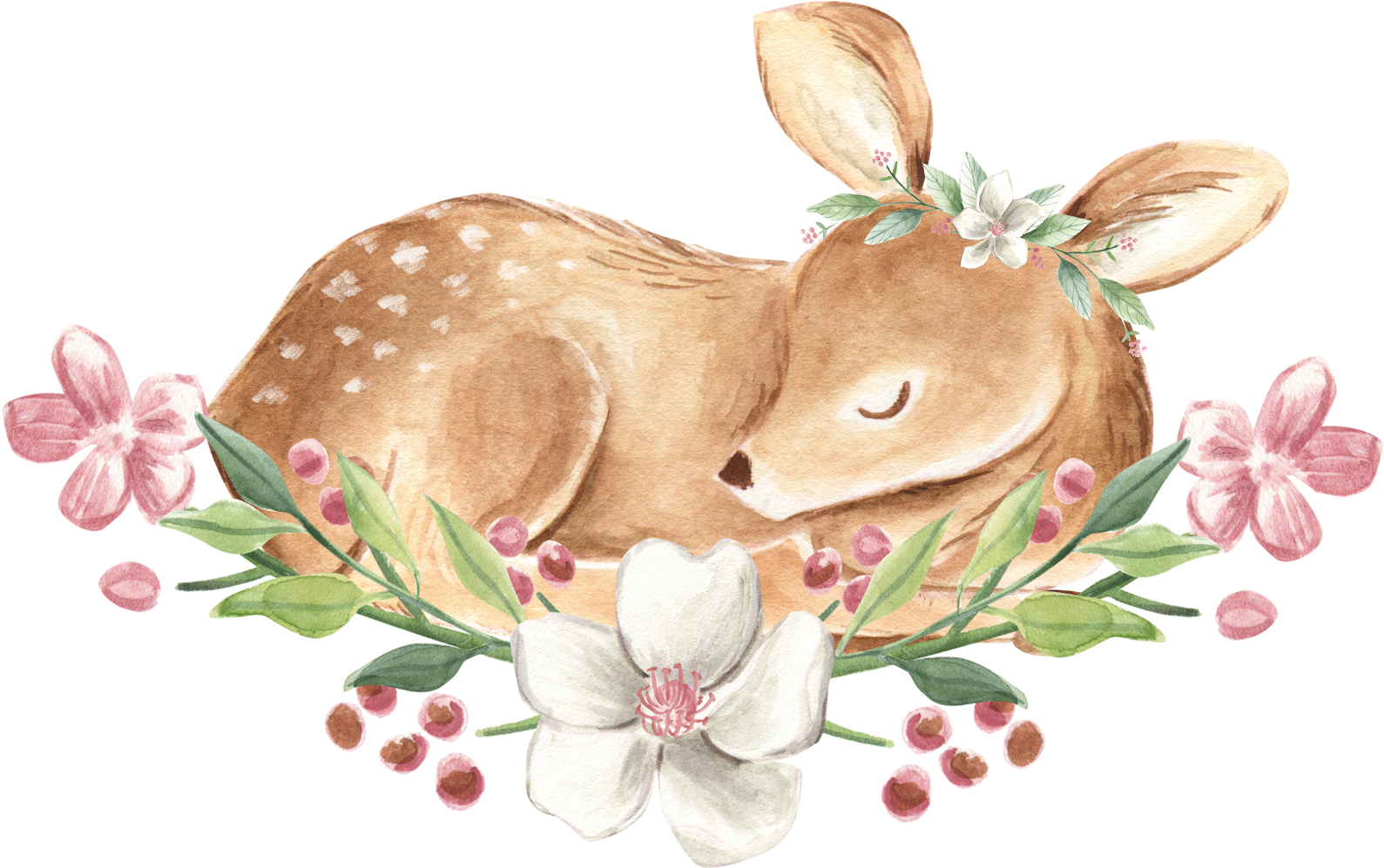 Sleeping Fawn Floral Wreath Illustration PNG Image