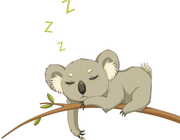 Sleeping Koala Cartoon PNG Image