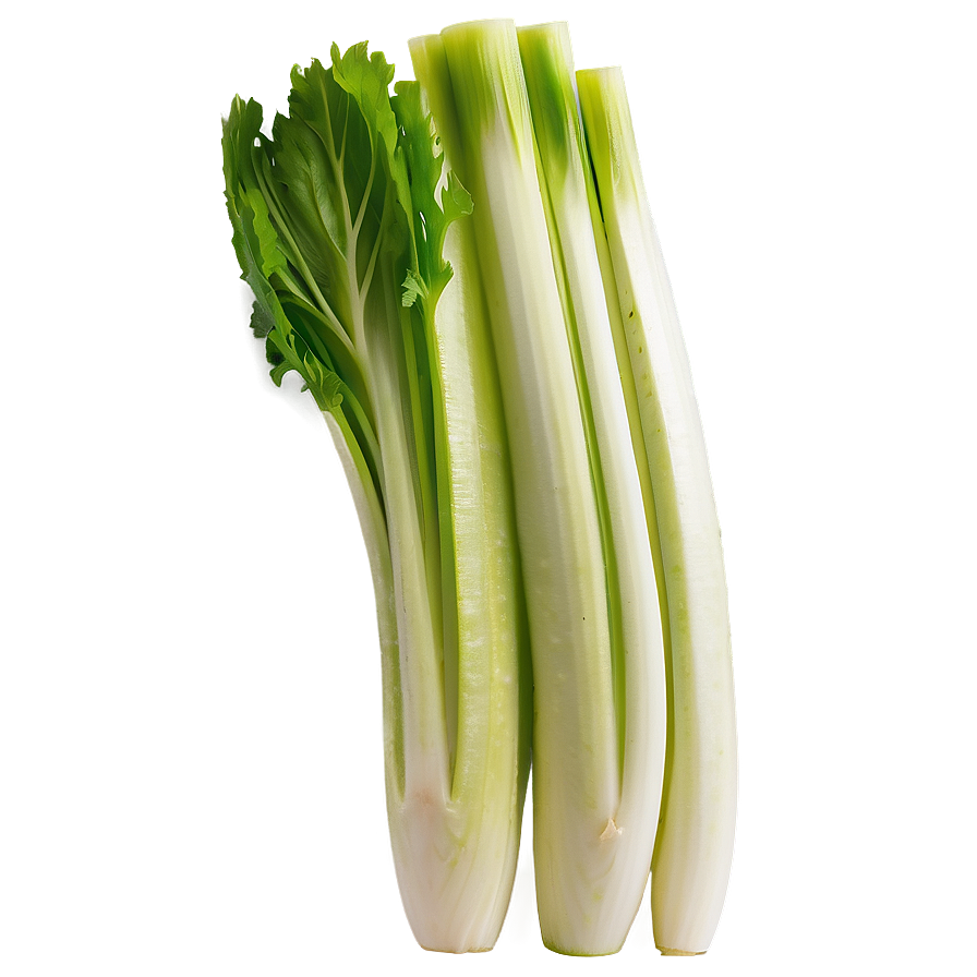 Sliced Celery Png 06252024 PNG Image