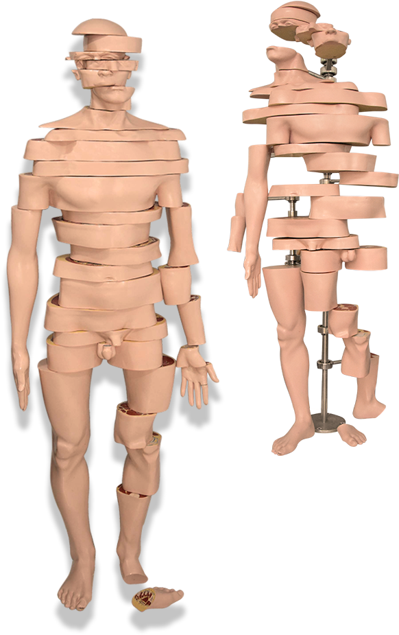 Sliced Mannequin Display PNG Image