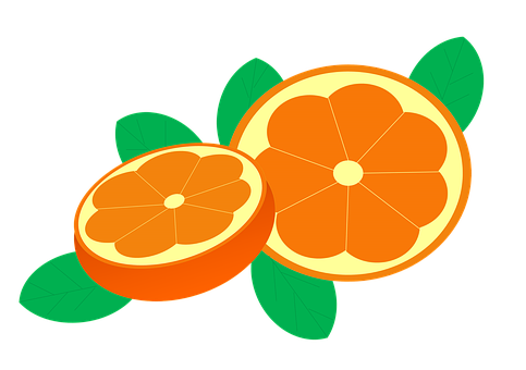 Sliced Oranges Illustration PNG Image