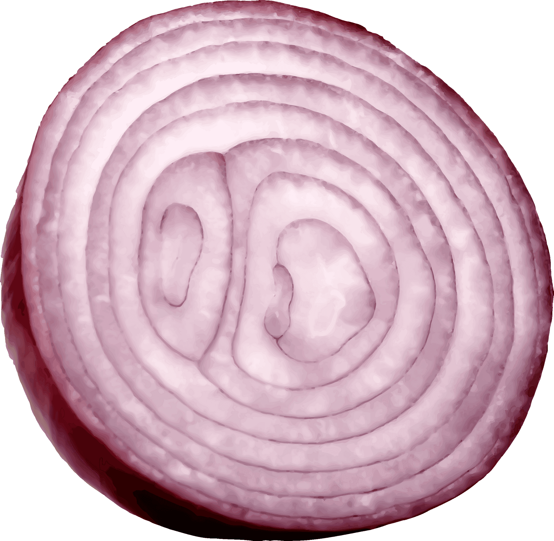 Sliced Red Onion Cross Section PNG Image