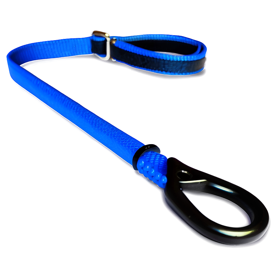 Slip Dog Leash Png 06132024 PNG Image