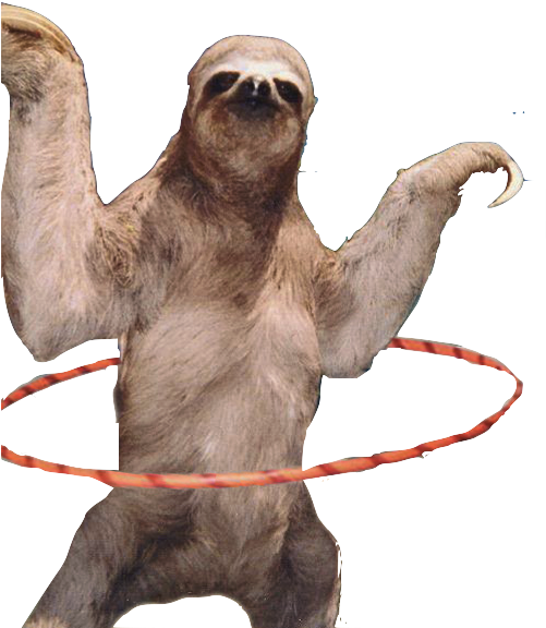 Sloth Hula Hooping Fun PNG Image