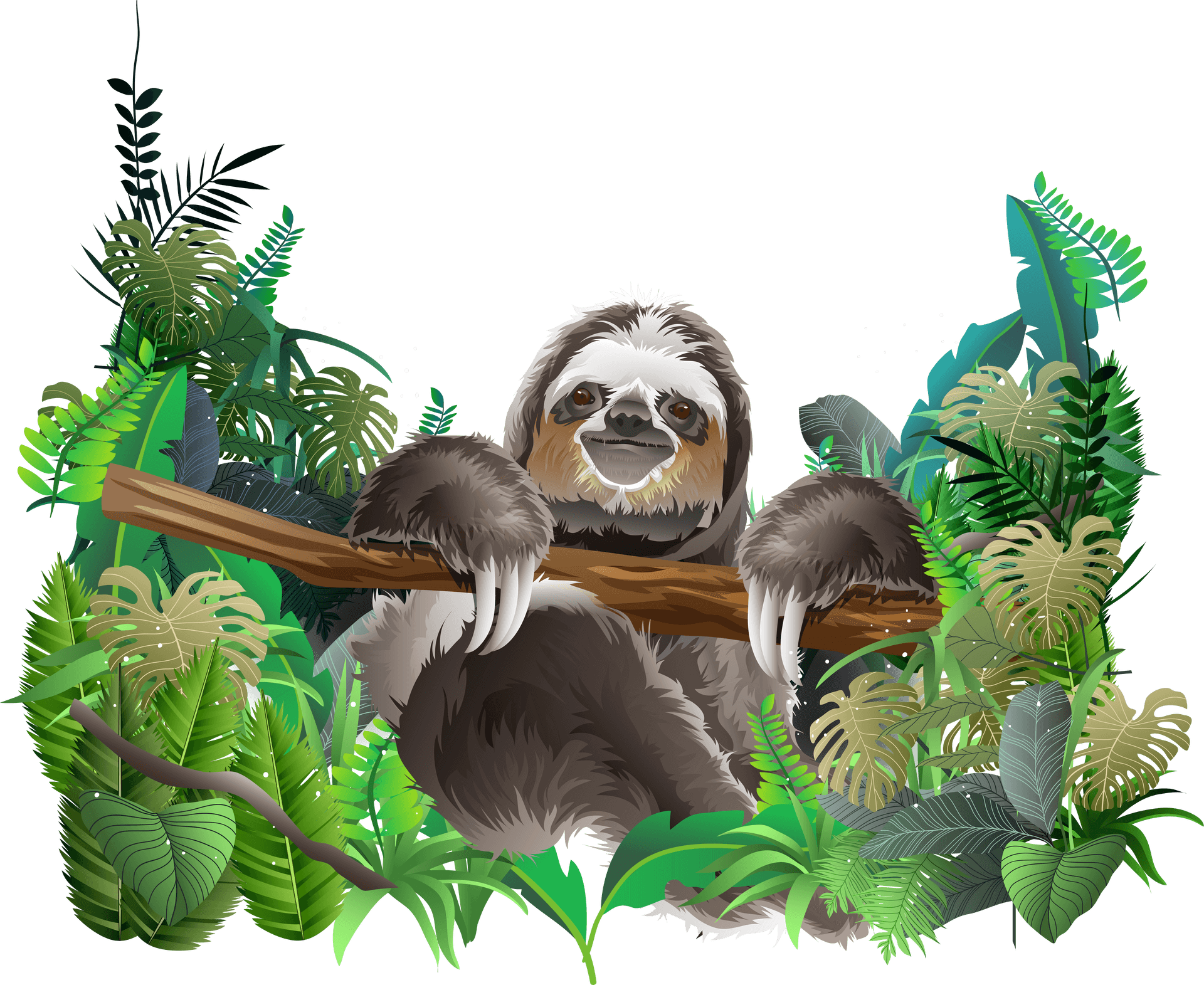 Sloth_in_ Rainforest_ Foliage PNG Image