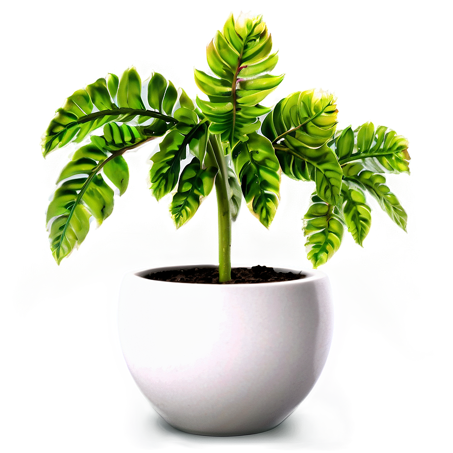 Small Hanging Plant Png 05252024 PNG Image