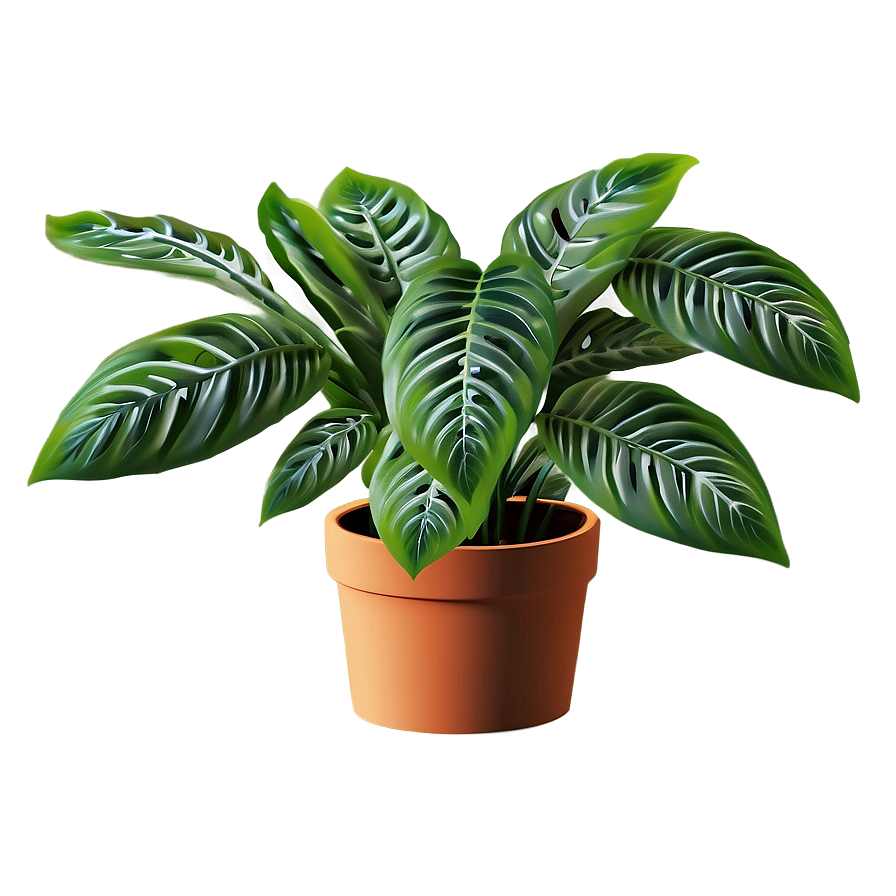 Small Plant B PNG Image