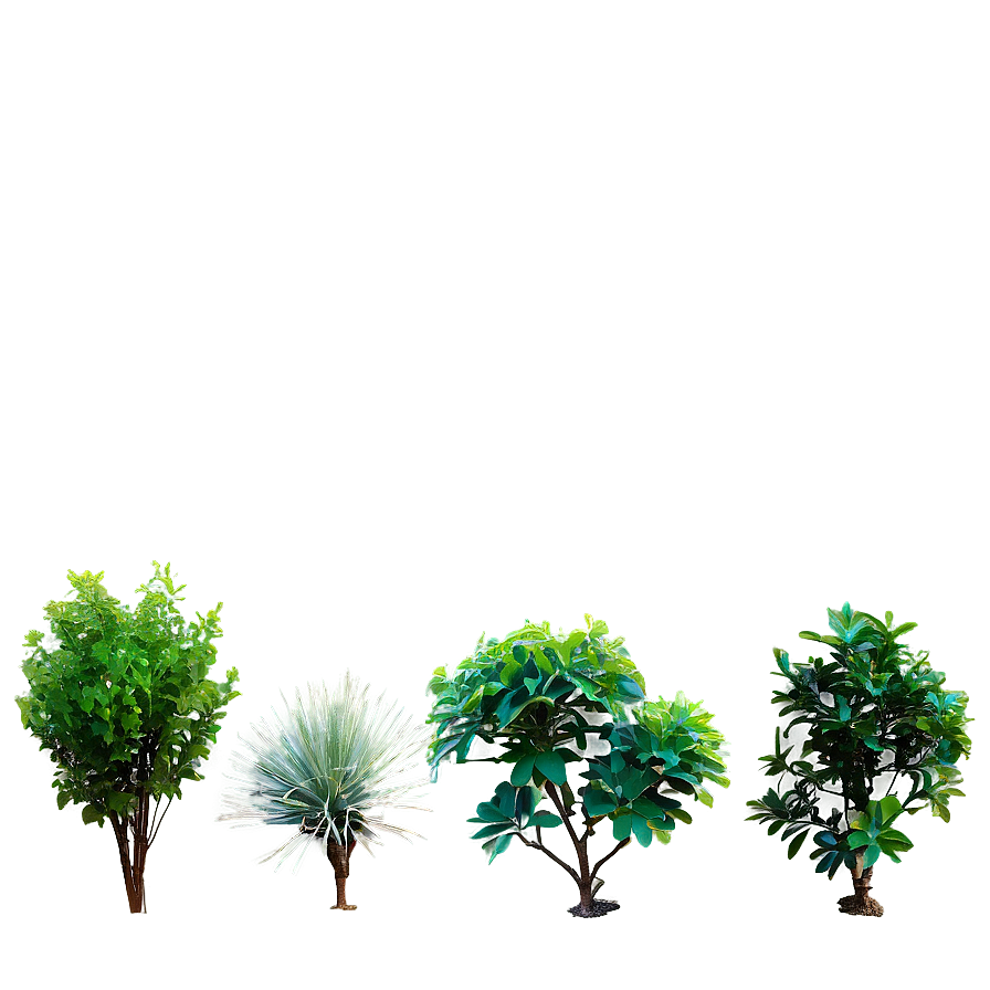 Small Shrubs Png Rdx PNG Image