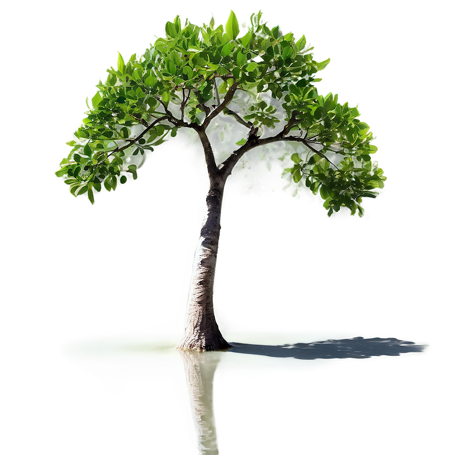 Small Tree Reflection Png 84 PNG Image