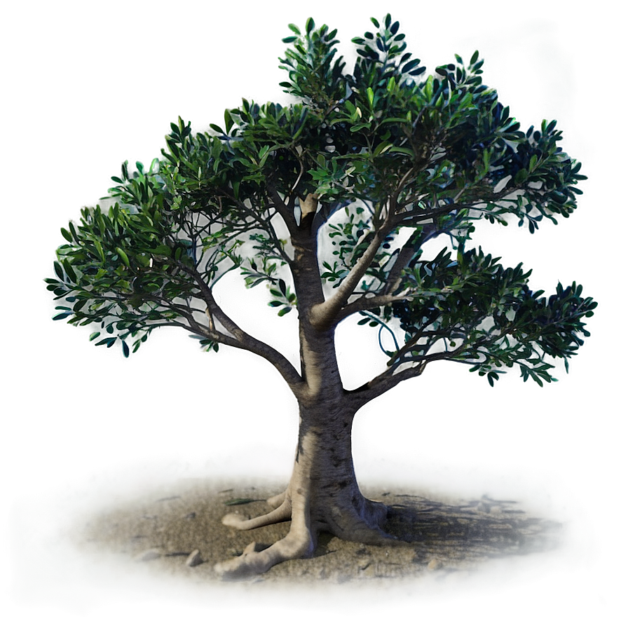 Small Tree Sunset Png Trx PNG Image