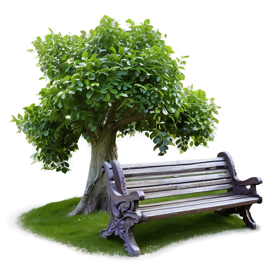 Small Tree With Bench Png 38 PNG Image