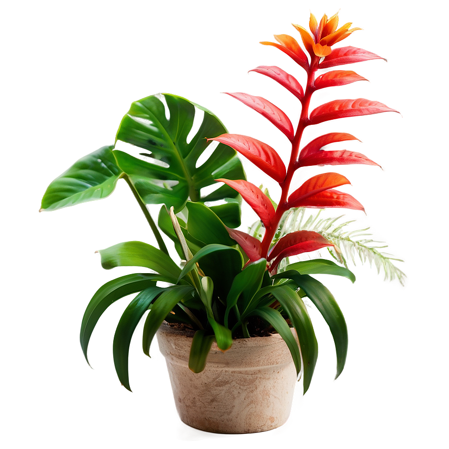 Small Tropical Plant Png Den PNG Image