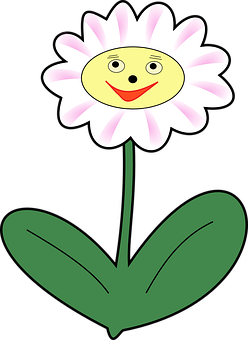 Smiling Daisy Cartoon PNG Image