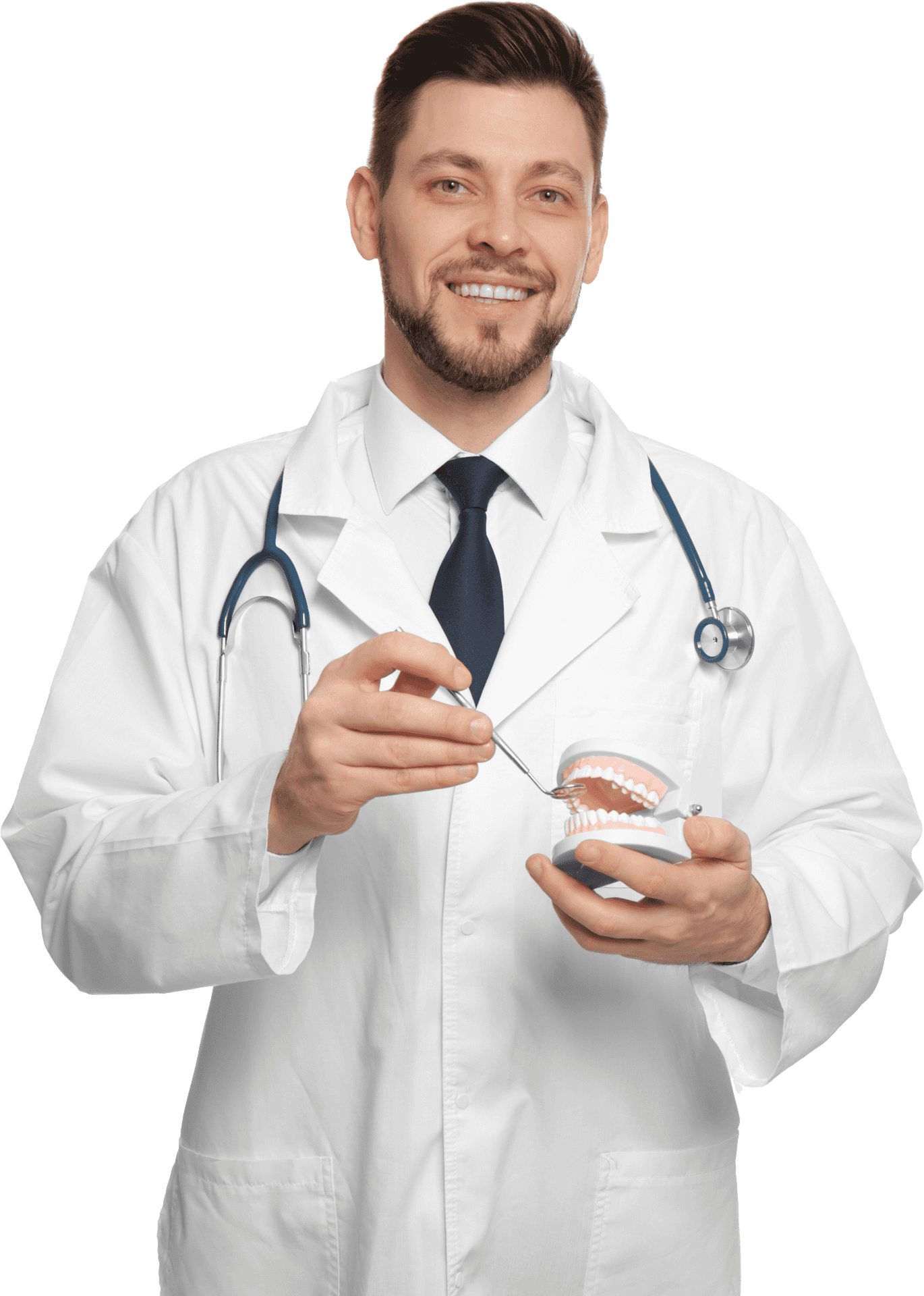 Smiling Dentist Holding Dental Modeland Tools PNG Image