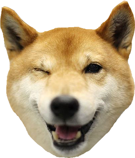 Smiling Shiba Inu Headshot PNG Image