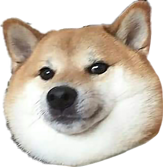 Smiling Shiba Inu Headshot PNG Image