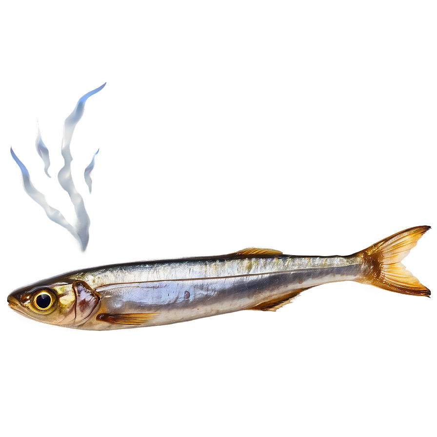 Smoked Sardine Png Lxx PNG Image