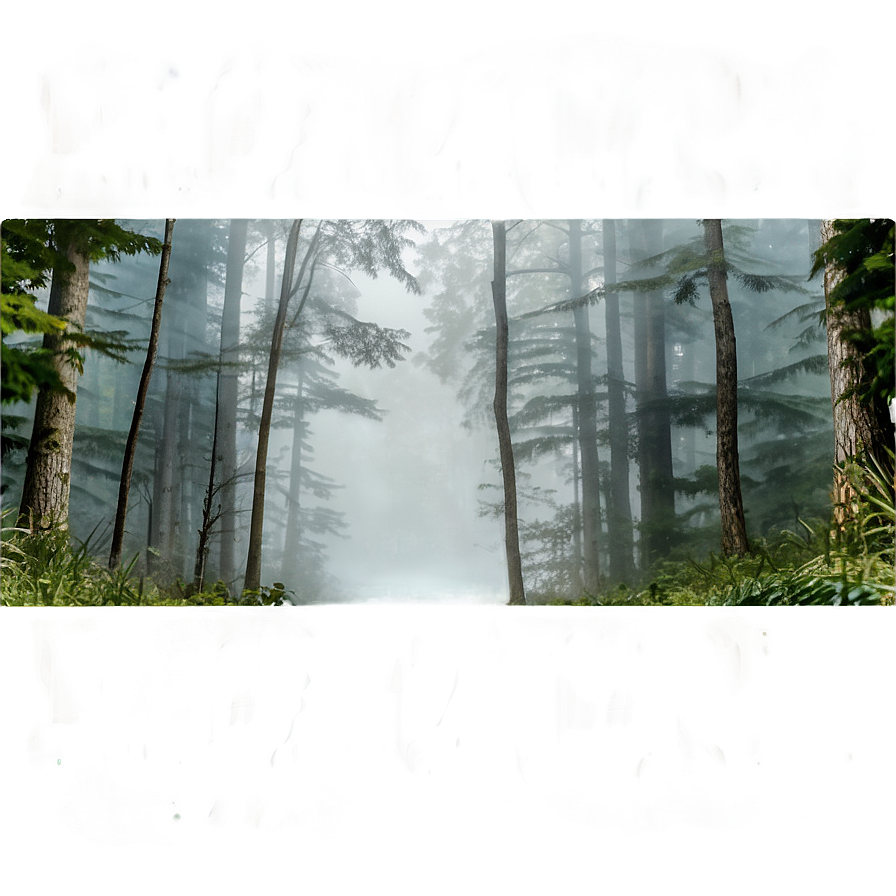 Smokey Misty Woods Png Dyr PNG Image