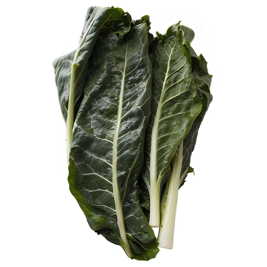 Smothered Collard Greens Png Dtg PNG Image