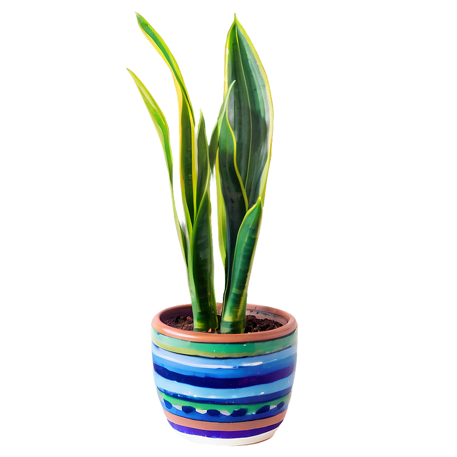 Snake Plant On Desk Png 06122024 PNG Image