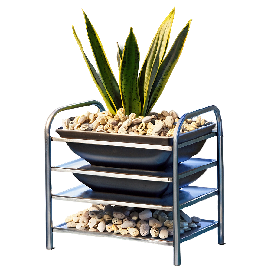 Snake Plant On Shelf Png Ajt31 PNG Image