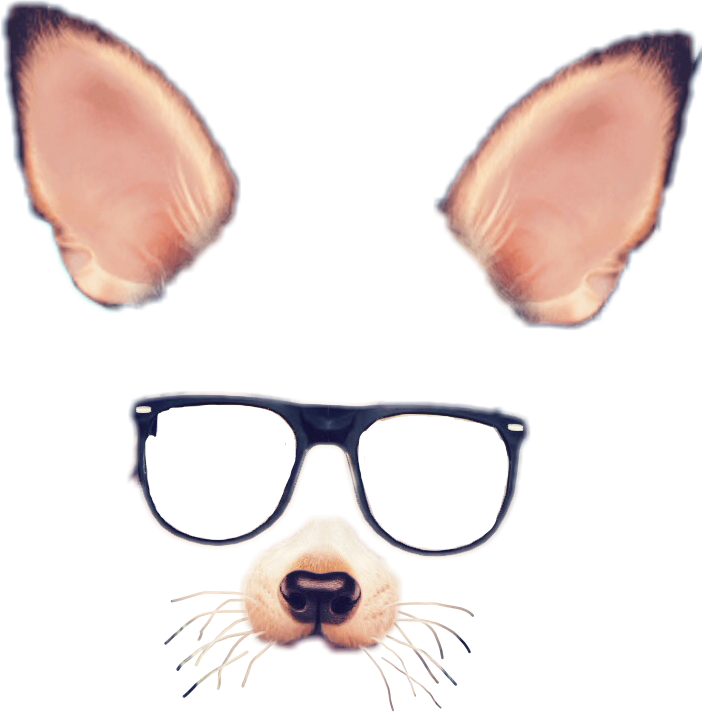 Snapchat Dog Filter Elements PNG Image