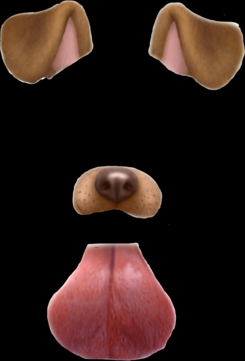 Snapchat Dog Filter Elements PNG Image