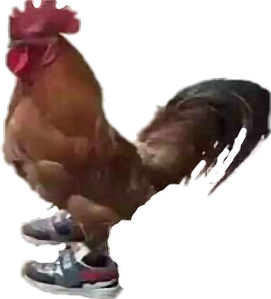 Sneaker Sporting Rooster PNG Image