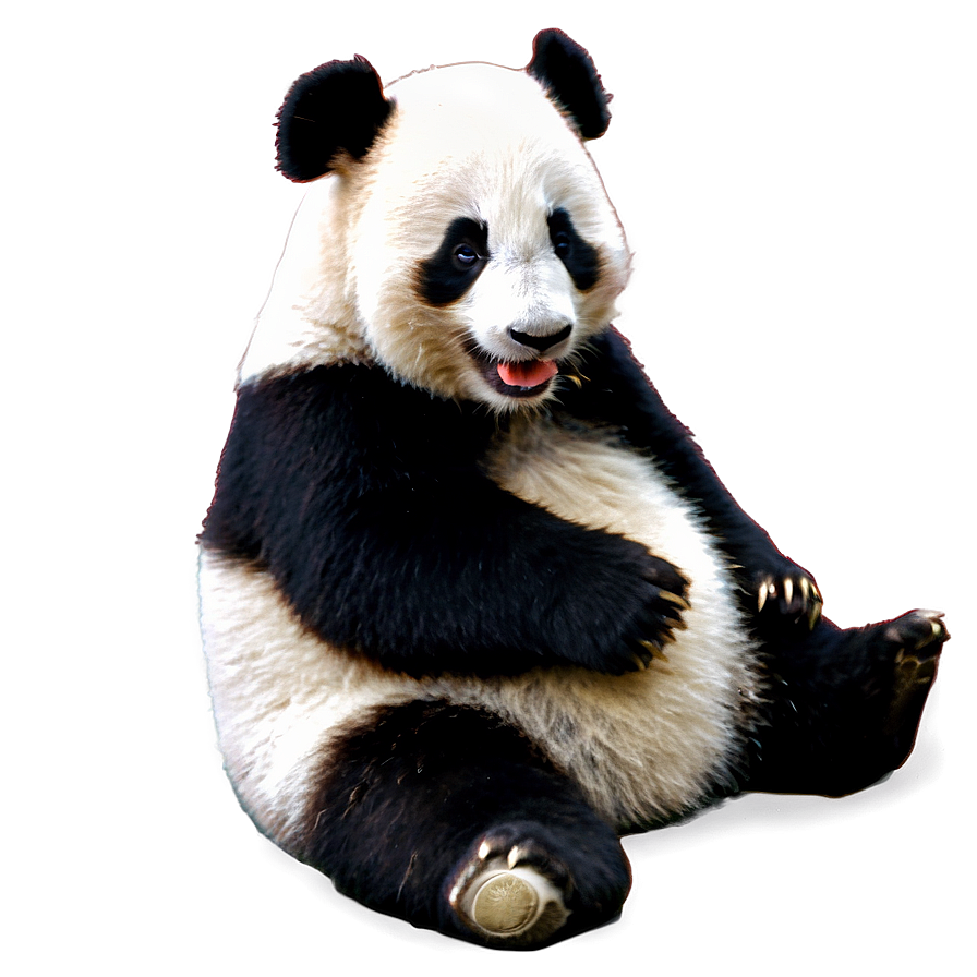 Sneezing Baby Panda Png 05062024 PNG Image