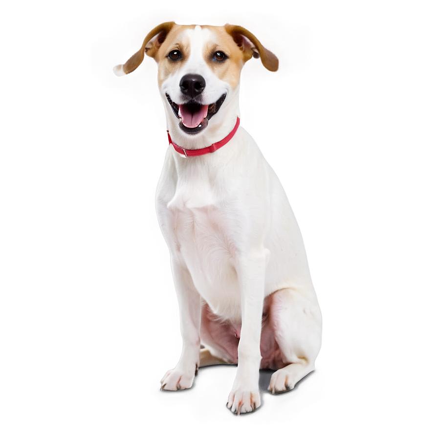 Snickering Dog Png Qeu19 PNG Image