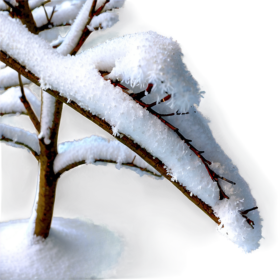 Snow Covered Tree Branch Png Mbm39 PNG Image