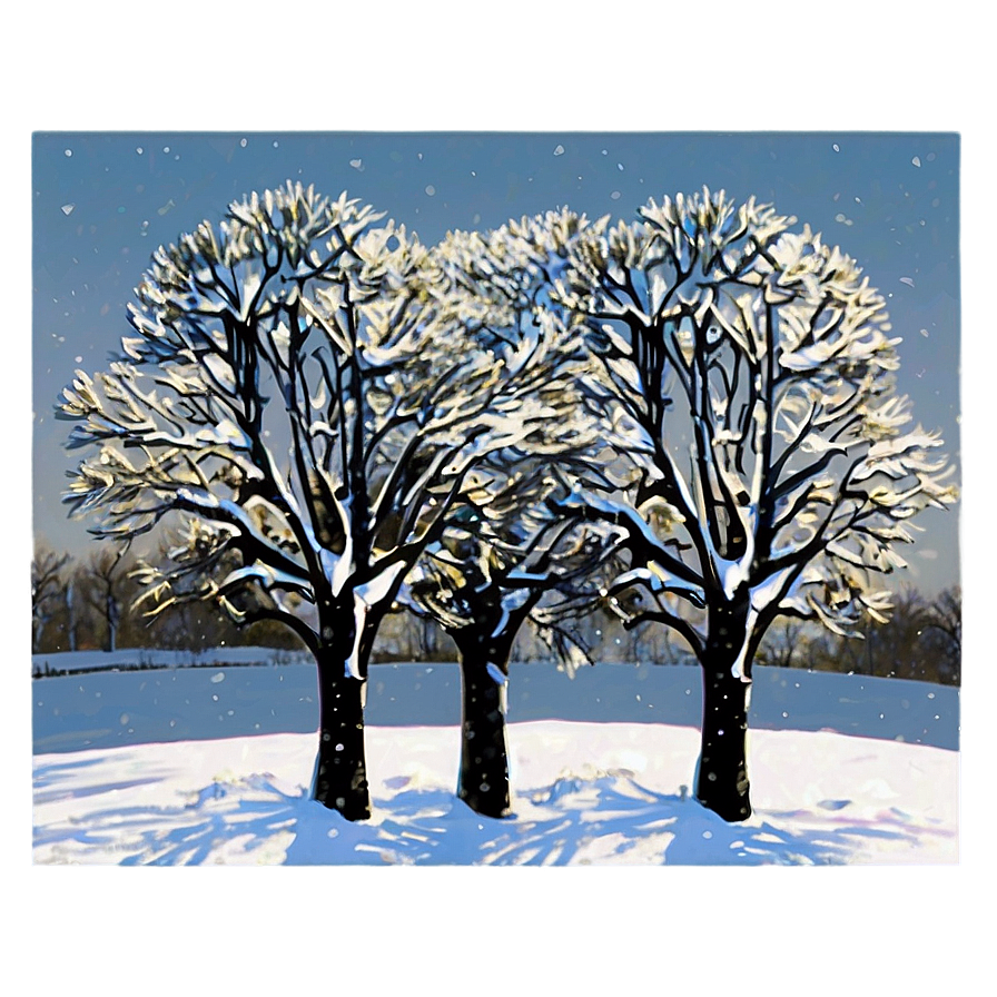 Snow Kissed Trees Png 06292024 PNG Image