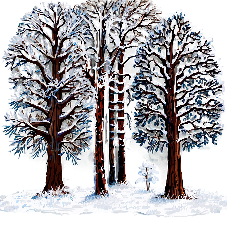 Snow Veiled Trees Png 67 PNG Image